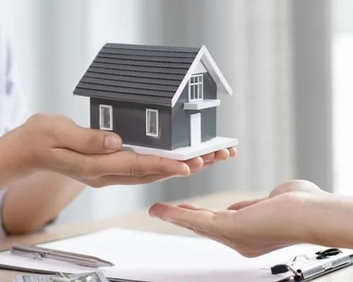 Property Management Assistants